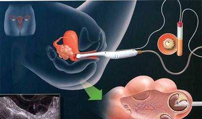 周副主任医师